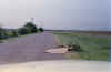 Pds002.jpg (305847 bytes)
